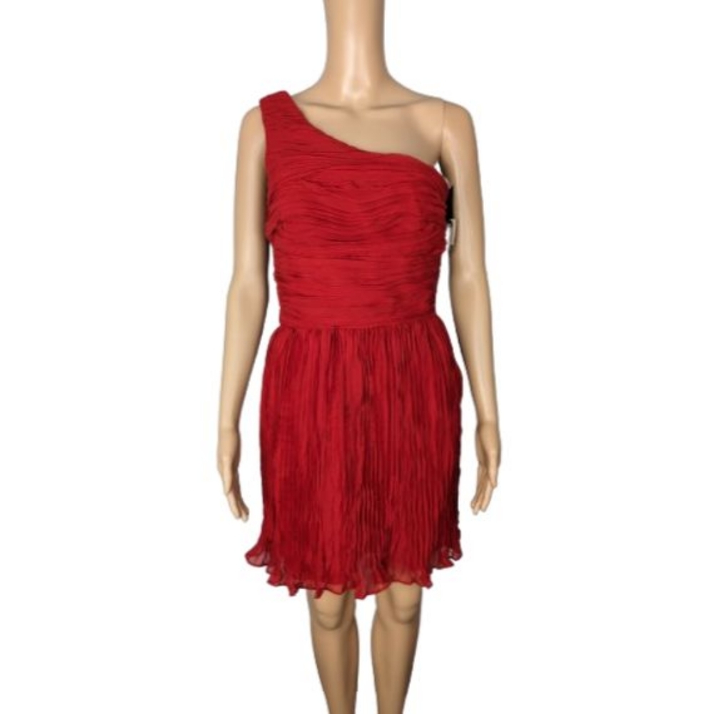 BB Dakota One Shoulder Crinkle Chiffon Dress 4